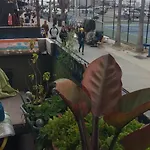 Ocean Front Vortex Female Hostel Private Rooms Free Bikes