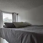 Ocean Front Vortex Female Hostel Private Rooms Free Bikes